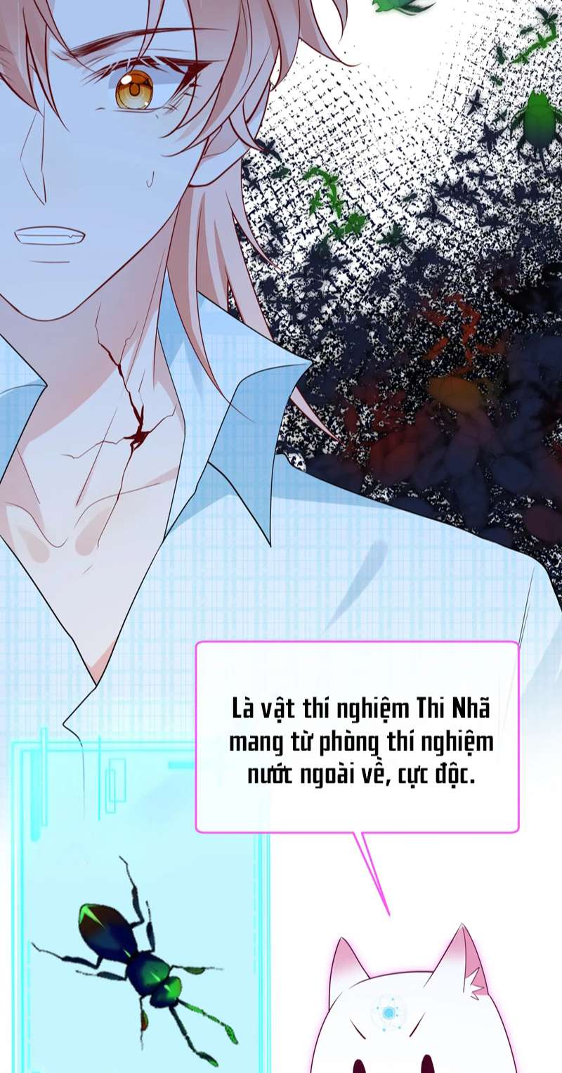 Kế Hoạch Tẩy Trắng Hắc Nguyệt Quang: Chapter 68