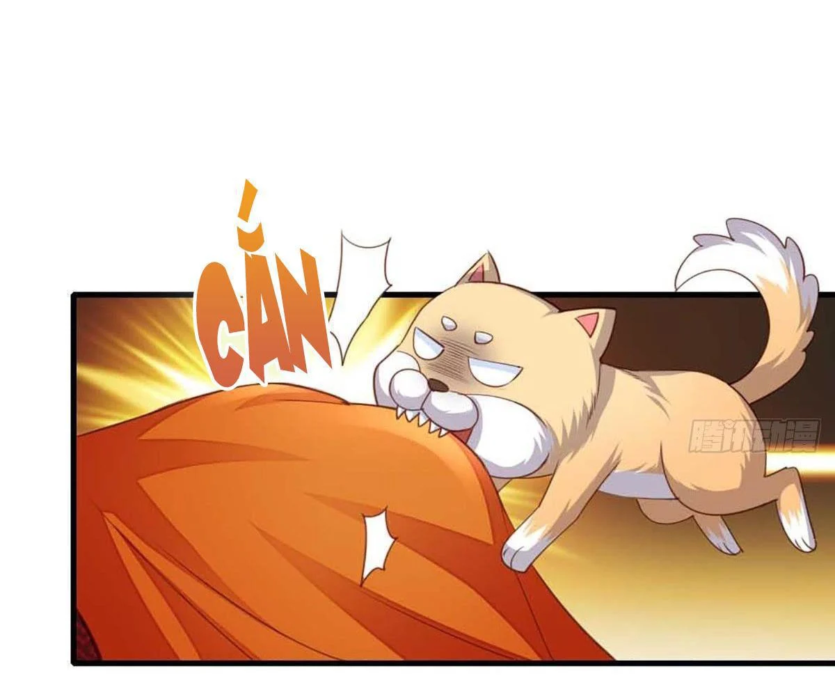 Ta Thuần Phục Bạo Vương: Chapter 3