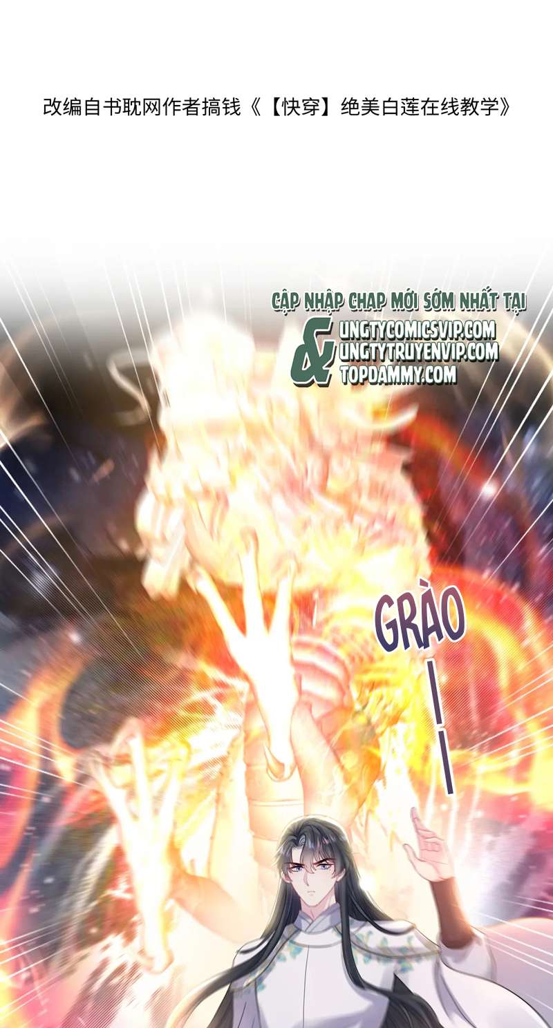 Tuyệt Mỹ Bạch Liên Online Dạy Học: Chapter 182