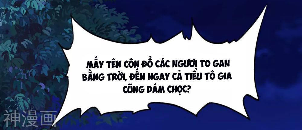 Tiên Đế Trở Về: Chương 164