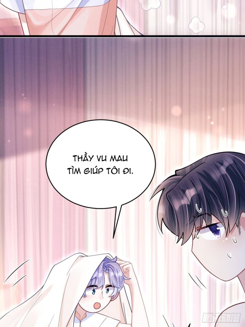 Tôi Hoài Nghi Ảnh Đế Đang Theo Đuổi Tôi: Chapter 61