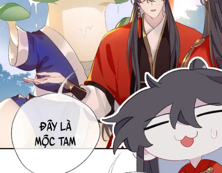Sư Huynh Đừng Hòng Chạy: Chapter 39