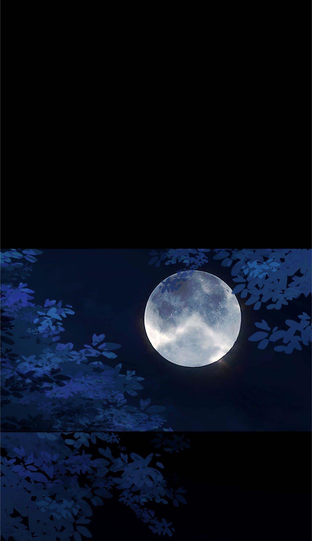 Bản Toạ Nuôi Quỷ Hút Máu Ở Tông Môn: Chapter 25
