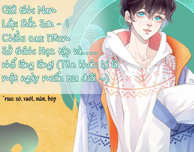 Giáo Bá Cửu Vĩ Hồ Theo Dõi Ta Lúc Sau: Chapter 0: Văn án