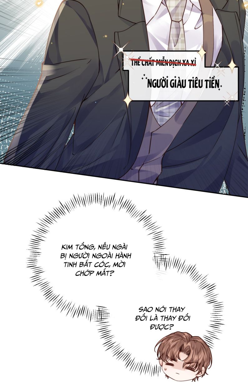 Tổng Tài Định Chế Tư Nhân: Chapter 13