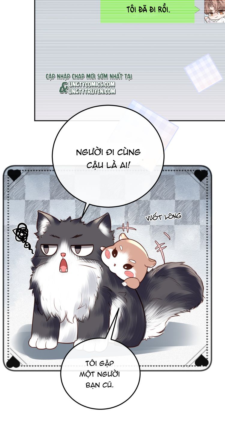 Tổng Tài Định Chế Tư Nhân: Chapter 23