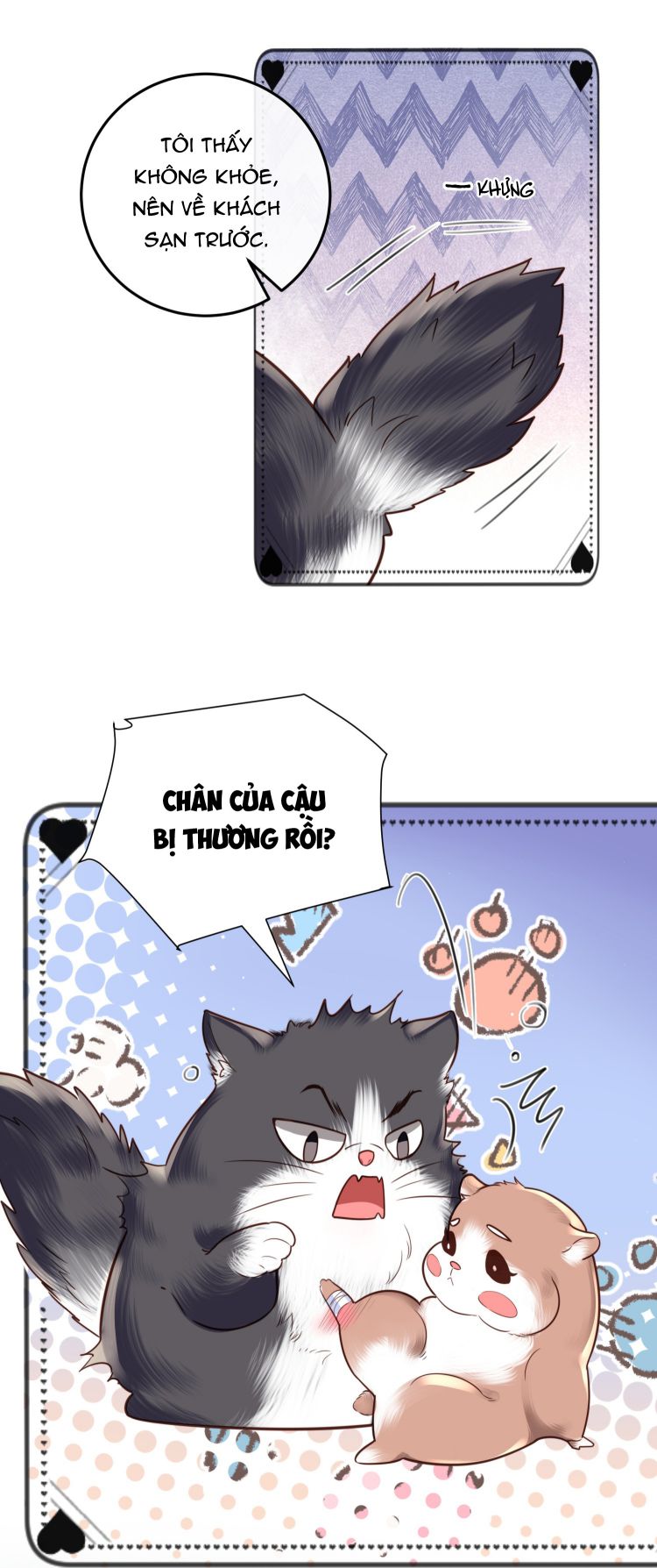 Tổng Tài Định Chế Tư Nhân: Chapter 23