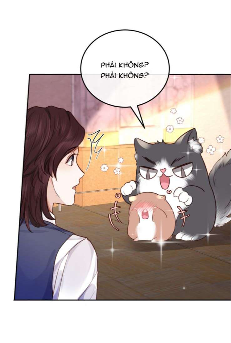 Tổng Tài Định Chế Tư Nhân: Chapter 24