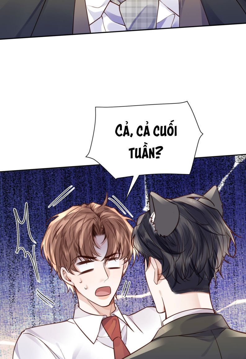 Tổng Tài Định Chế Tư Nhân: Chapter 39