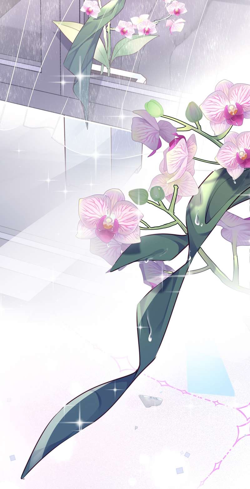 Tổng Tài Định Chế Tư Nhân: Chapter 43