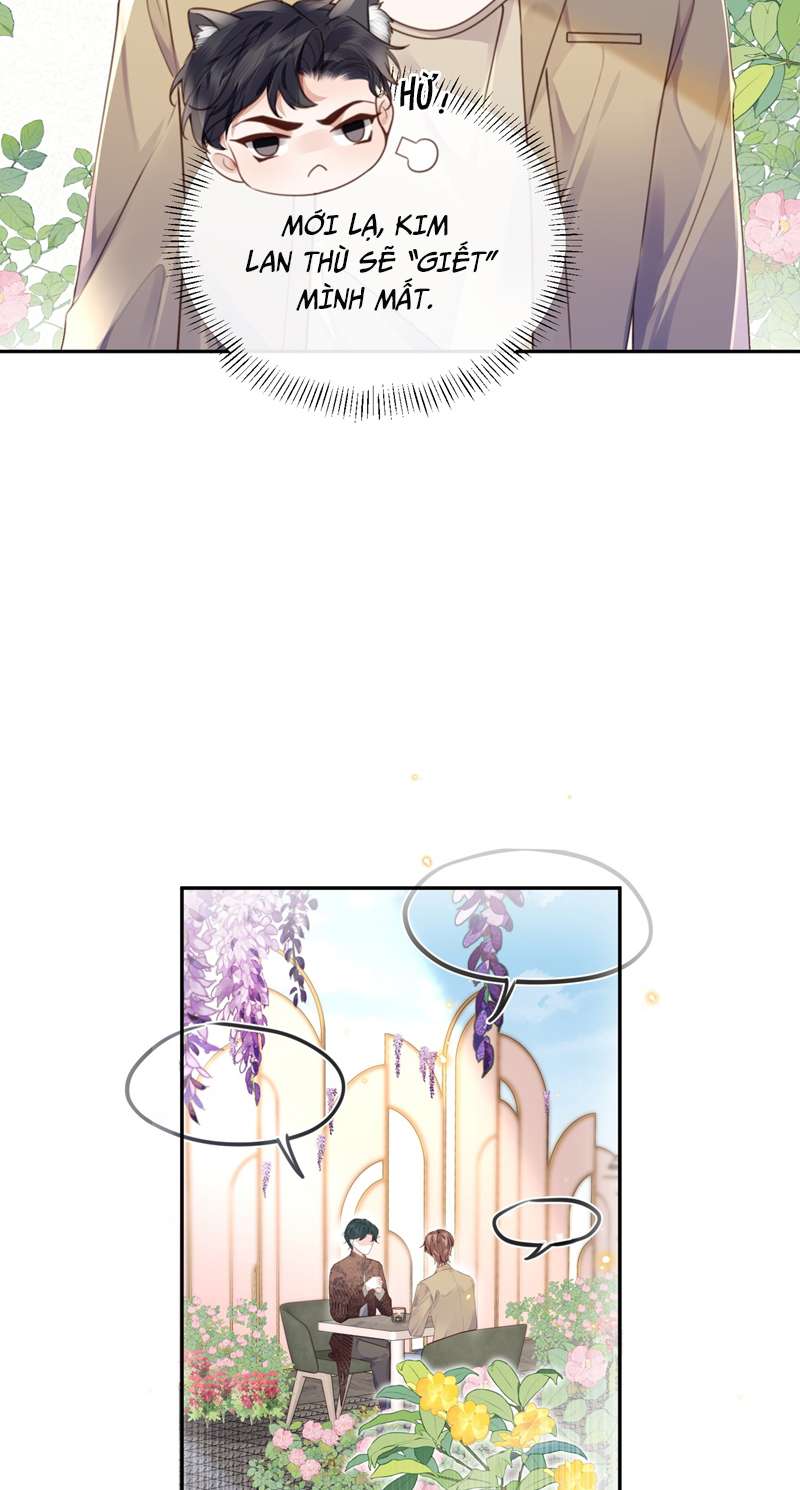 Tổng Tài Định Chế Tư Nhân: Chapter 47