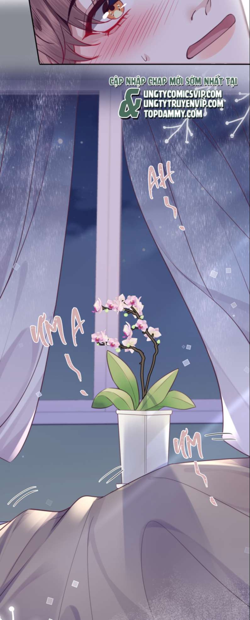 Tổng Tài Định Chế Tư Nhân: Chapter 49