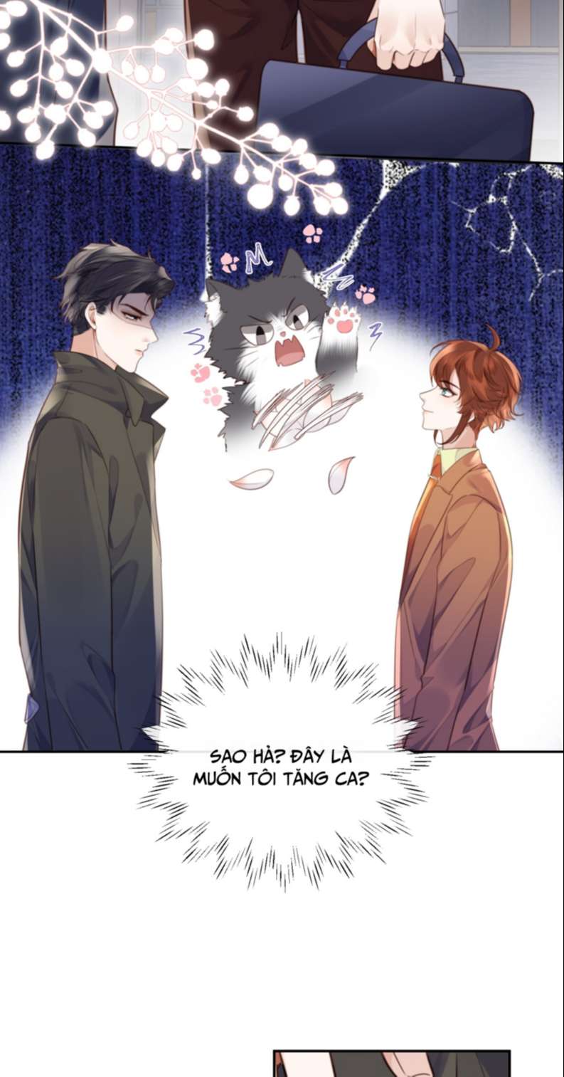 Tổng Tài Định Chế Tư Nhân: Chapter 51