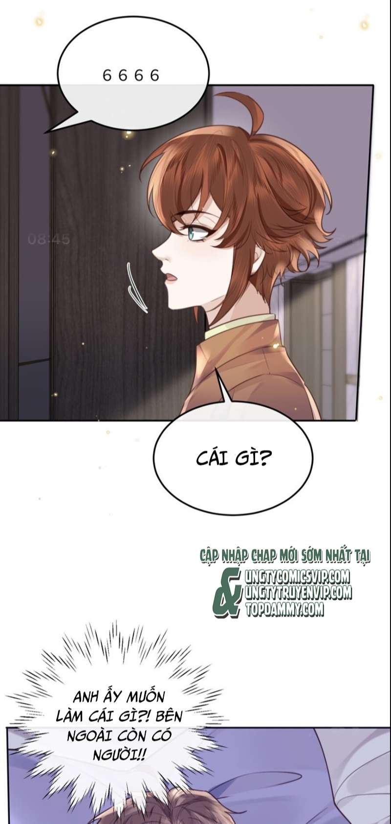 Tổng Tài Định Chế Tư Nhân: Chapter 52