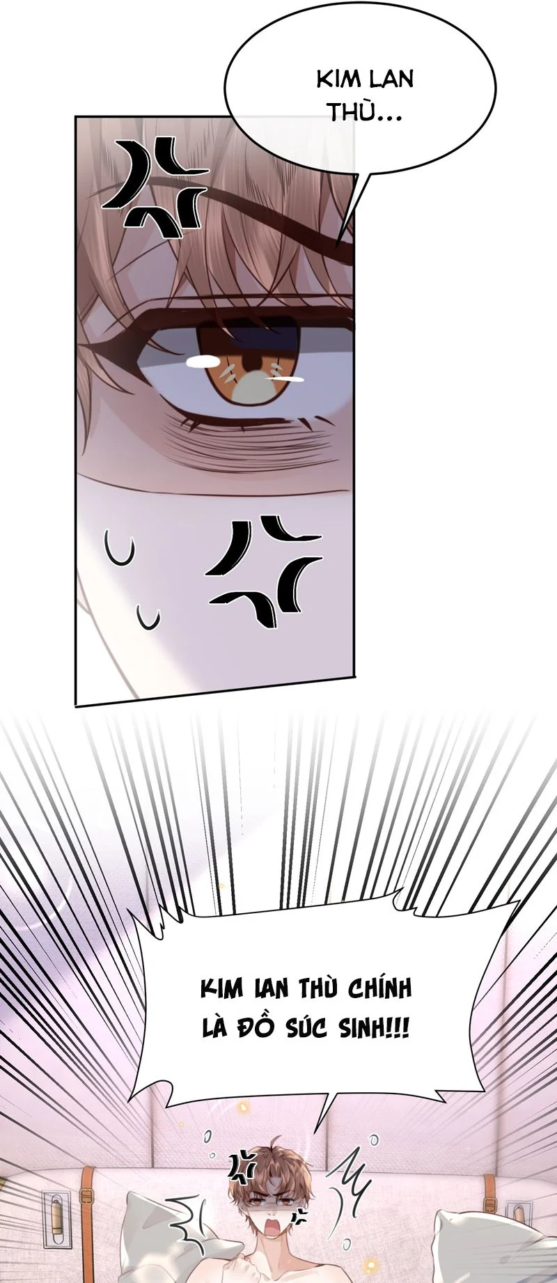 Tổng Tài Định Chế Tư Nhân: Chapter 65