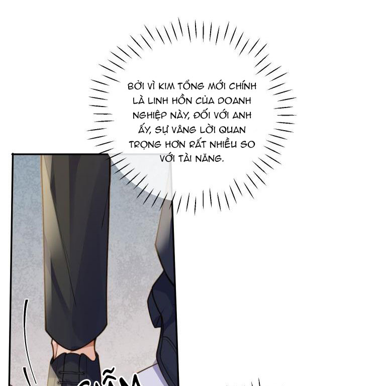 Tổng Tài Định Chế Tư Nhân: Chapter 8