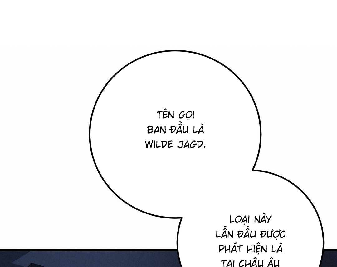 Vực Thẳm: Chapter 29
