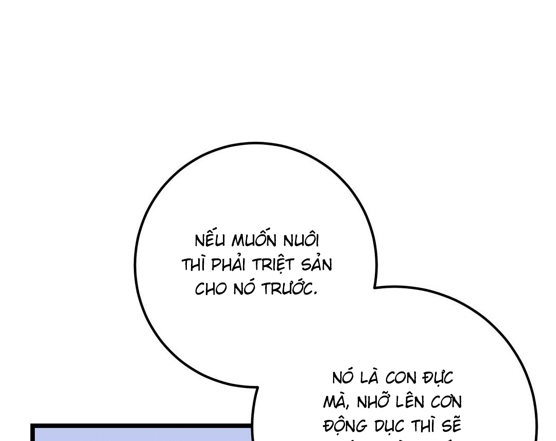 Vực Thẳm: Chapter 29