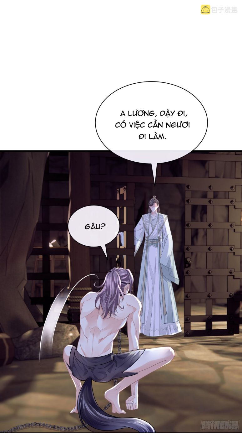 Tôi Nghi Ngờ Hệ Thống Thích Tôi: Chapter 44