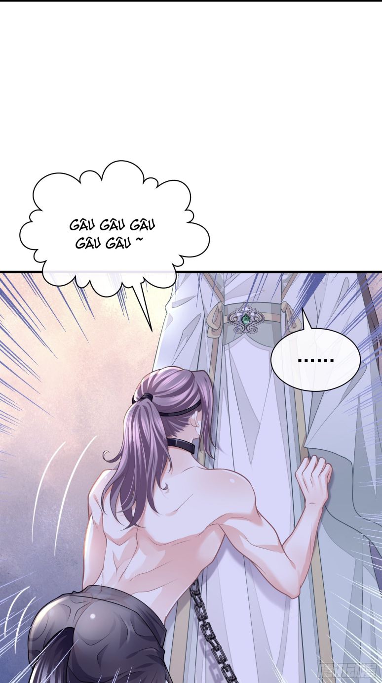 Tôi Nghi Ngờ Hệ Thống Thích Tôi: Chapter 44