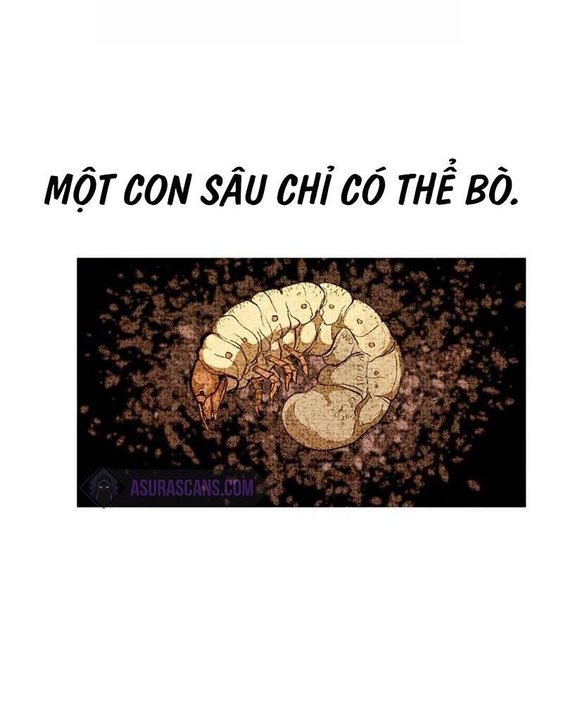 Hồi Quy Trở Lại Thành Kẻ Vô Dụng: Chương 33