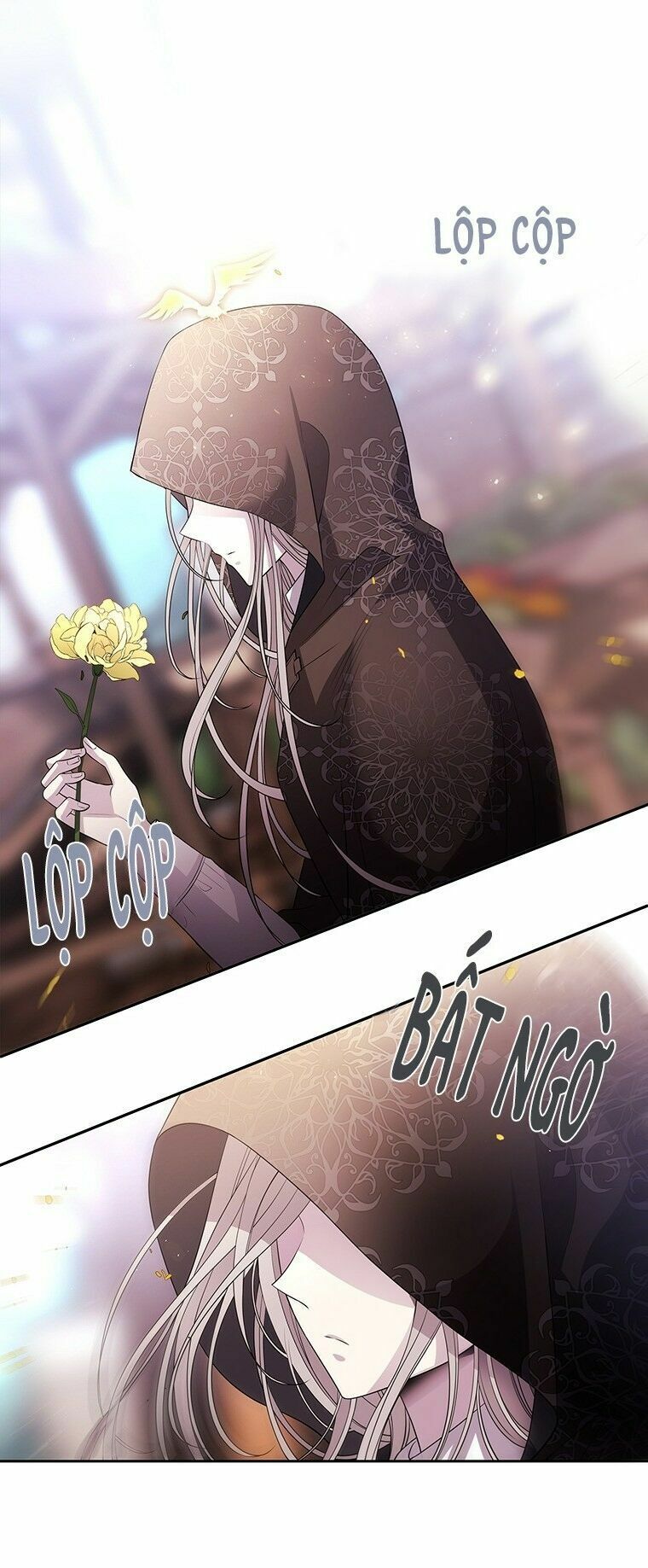 Năm Đại Đệ Tử Của Charlotte: Chapter 38