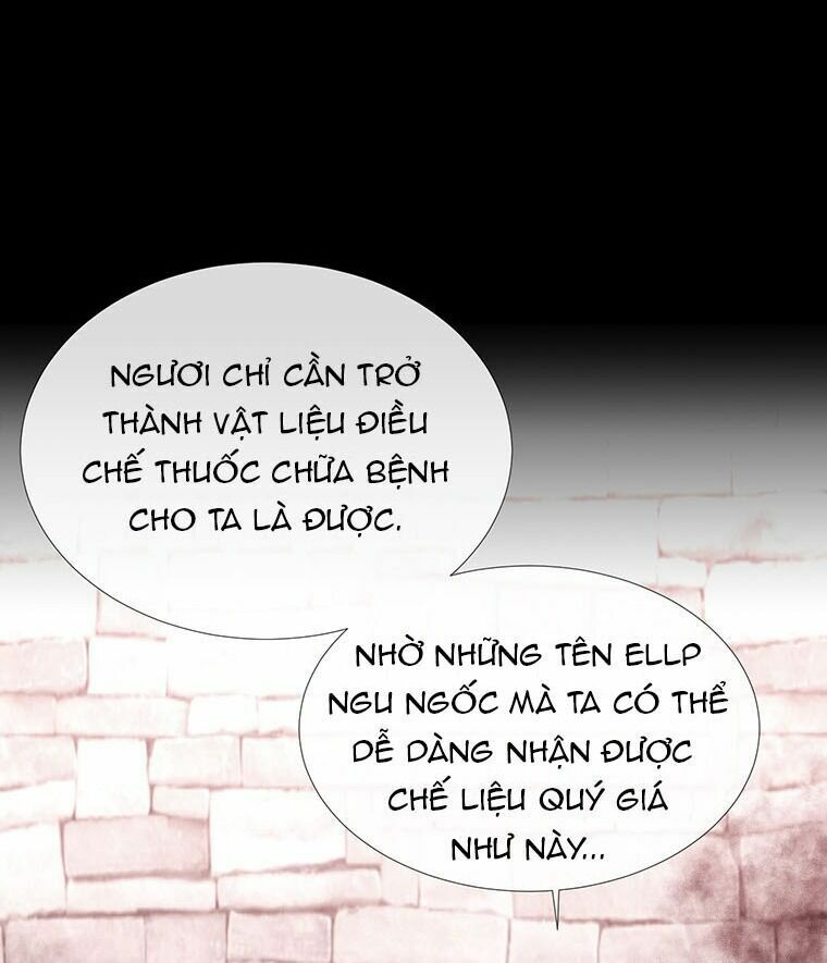 Năm Đại Đệ Tử Của Charlotte: Chapter 46