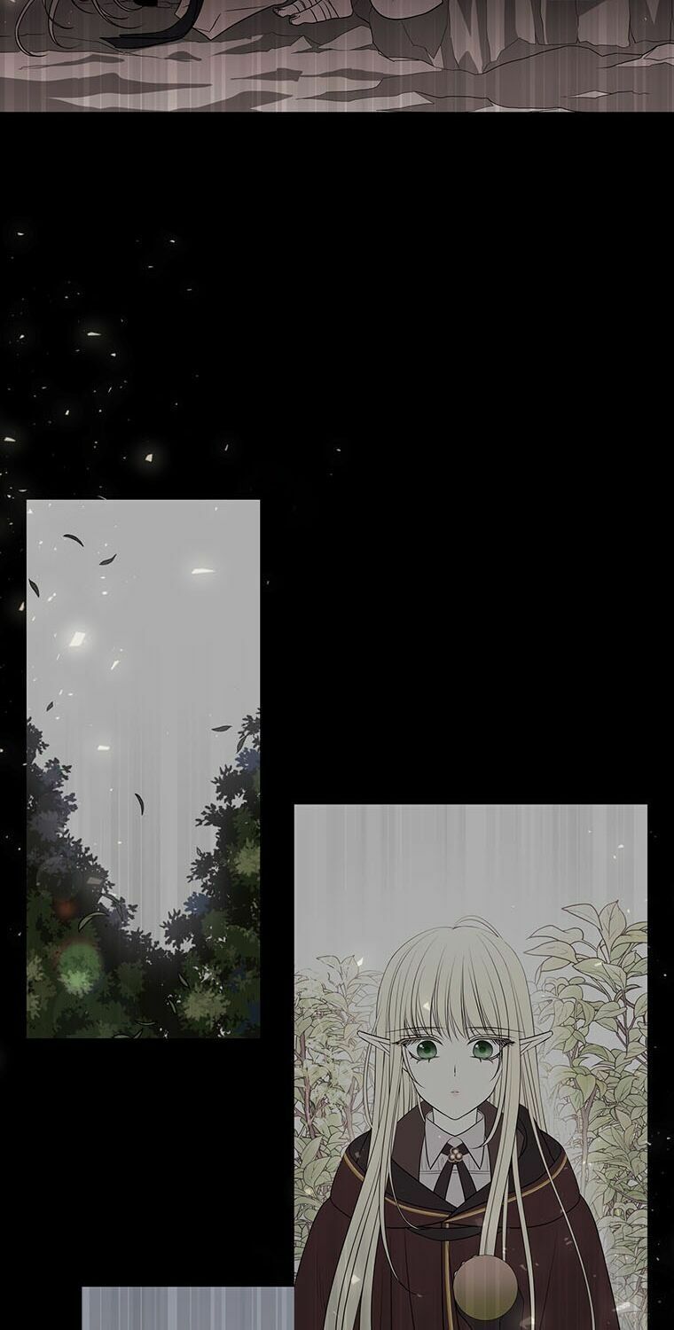 Năm Đại Đệ Tử Của Charlotte: Chapter 48