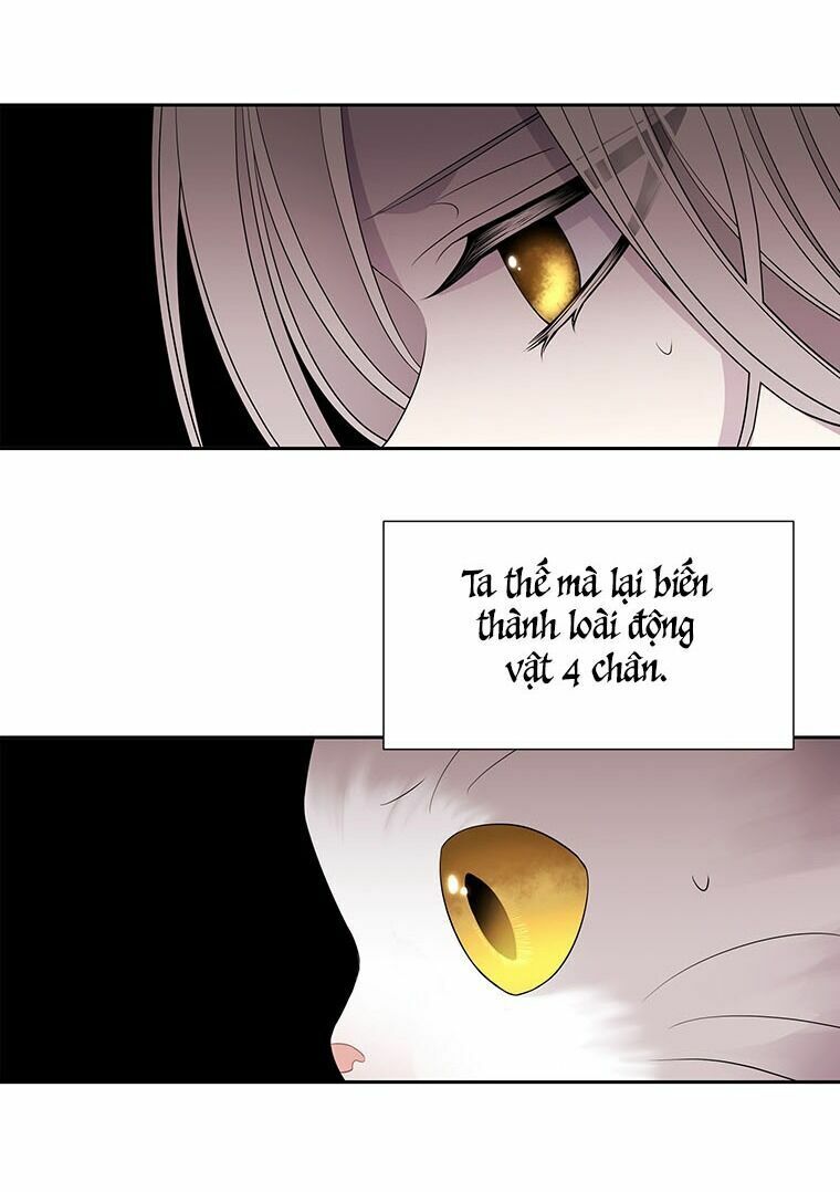Năm Đại Đệ Tử Của Charlotte: Chapter 60