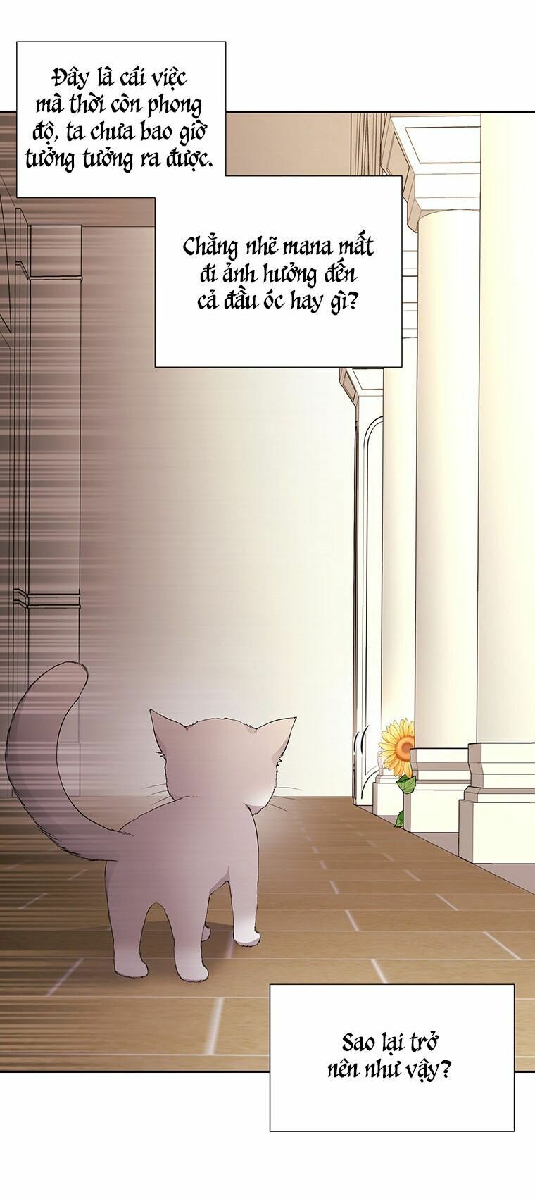 Năm Đại Đệ Tử Của Charlotte: Chapter 60
