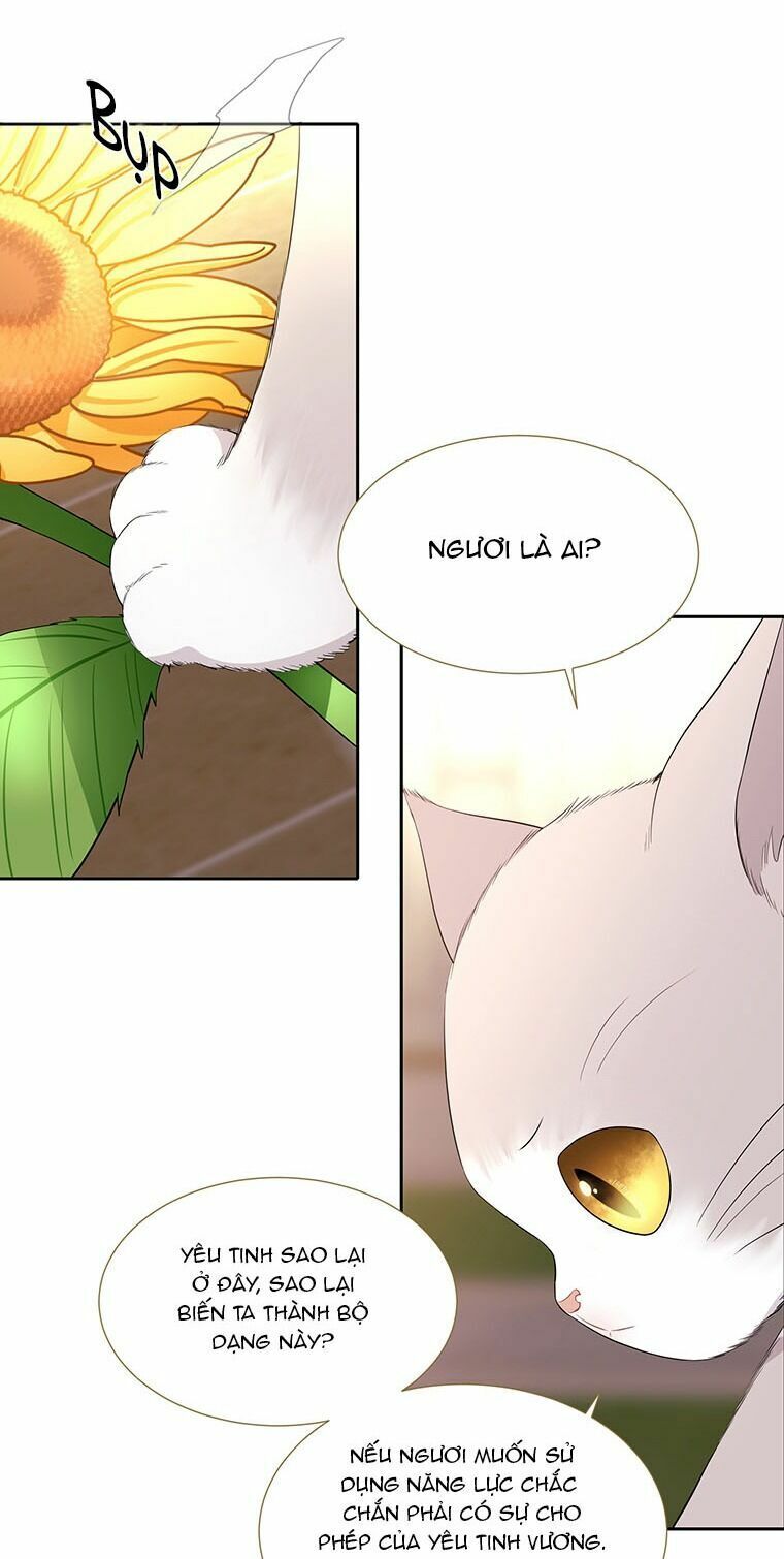 Năm Đại Đệ Tử Của Charlotte: Chapter 60