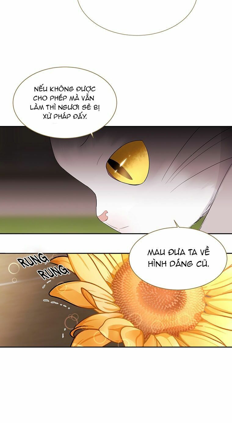 Năm Đại Đệ Tử Của Charlotte: Chapter 60