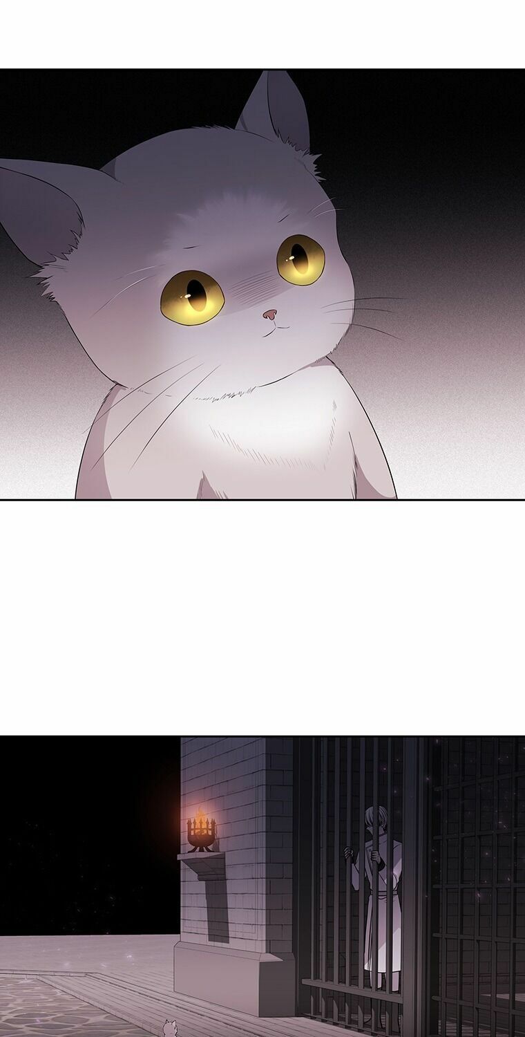 Năm Đại Đệ Tử Của Charlotte: Chapter 63