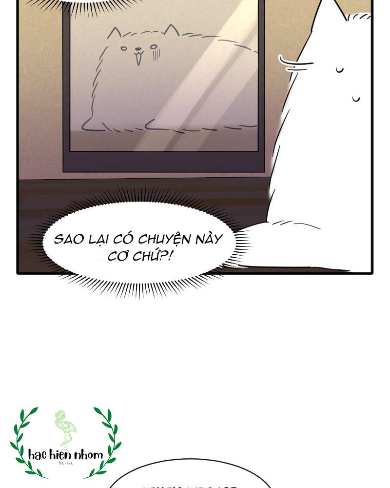 Truyện Ngôn Nhưng Không Ngôn Lắm: Chapter 15