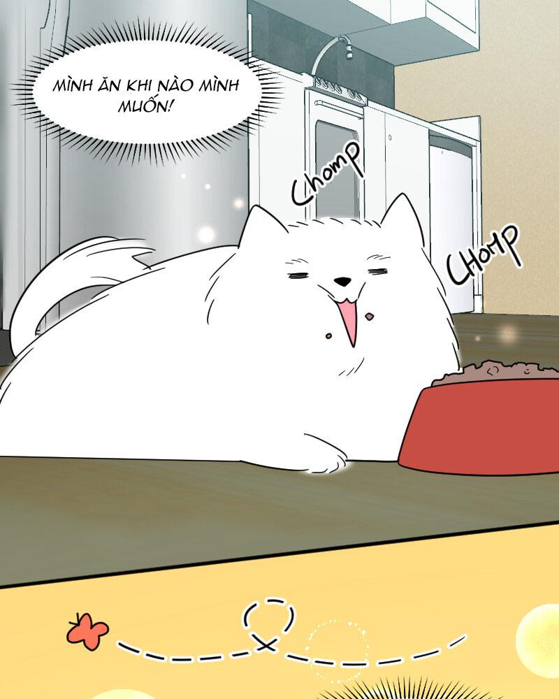 Truyện Ngôn Nhưng Không Ngôn Lắm: Chapter 15
