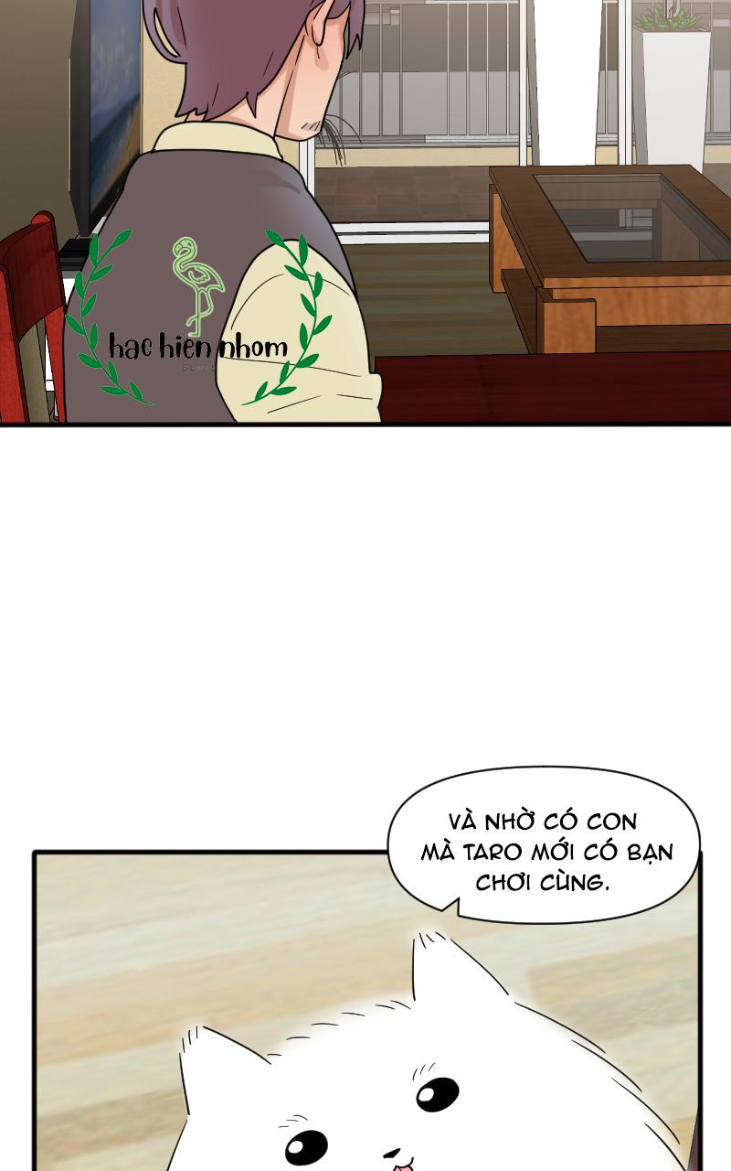 Truyện Ngôn Nhưng Không Ngôn Lắm: Chapter 26