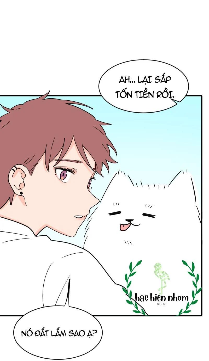Truyện Ngôn Nhưng Không Ngôn Lắm: Chapter 54