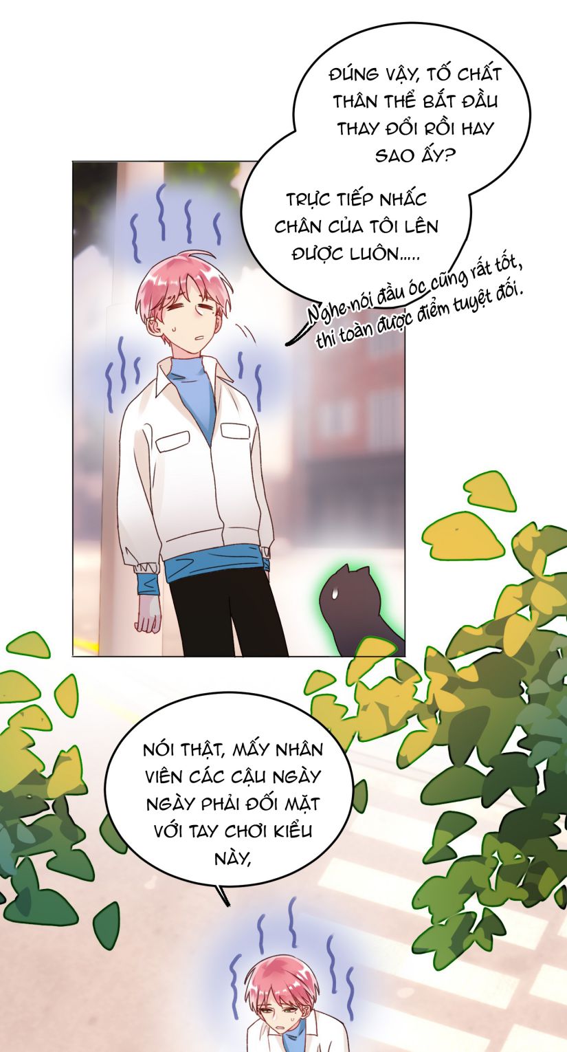 Tôi Phải Làm 1 Kẻ Đại Xấu Xa: Chapter 19