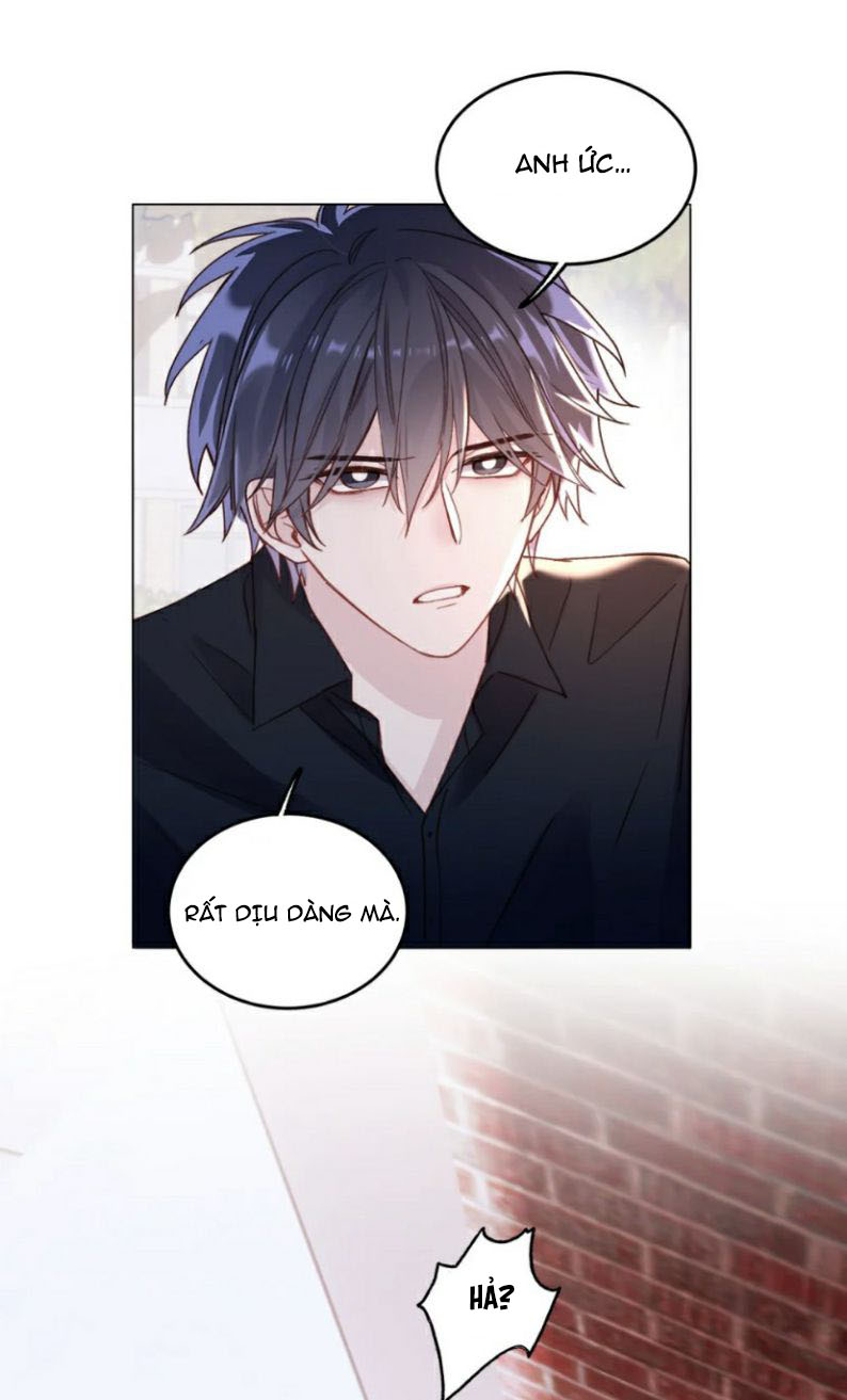 Tôi Phải Làm 1 Kẻ Đại Xấu Xa: Chapter 24.5