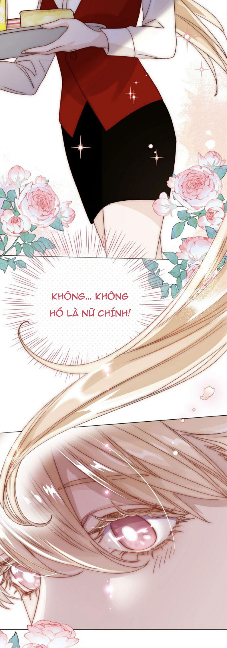 Tôi Phải Làm 1 Kẻ Đại Xấu Xa: Chapter 25.5
