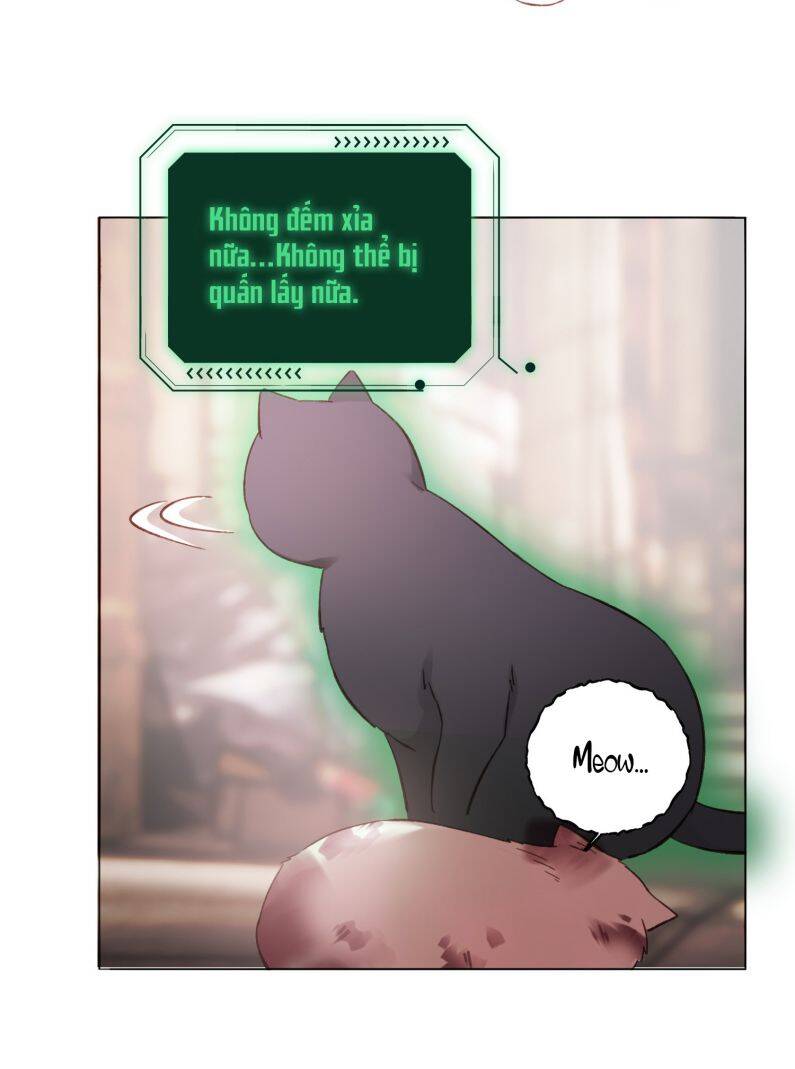 Tôi Phải Làm 1 Kẻ Đại Xấu Xa: Chapter 65