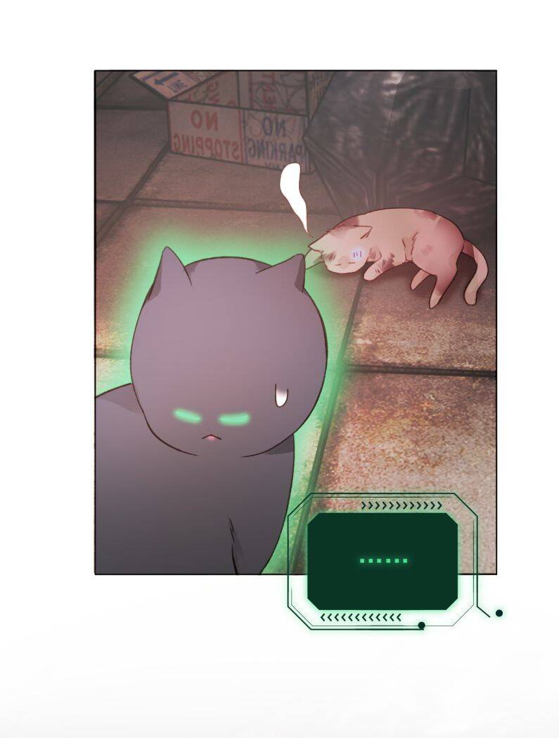 Tôi Phải Làm 1 Kẻ Đại Xấu Xa: Chapter 65