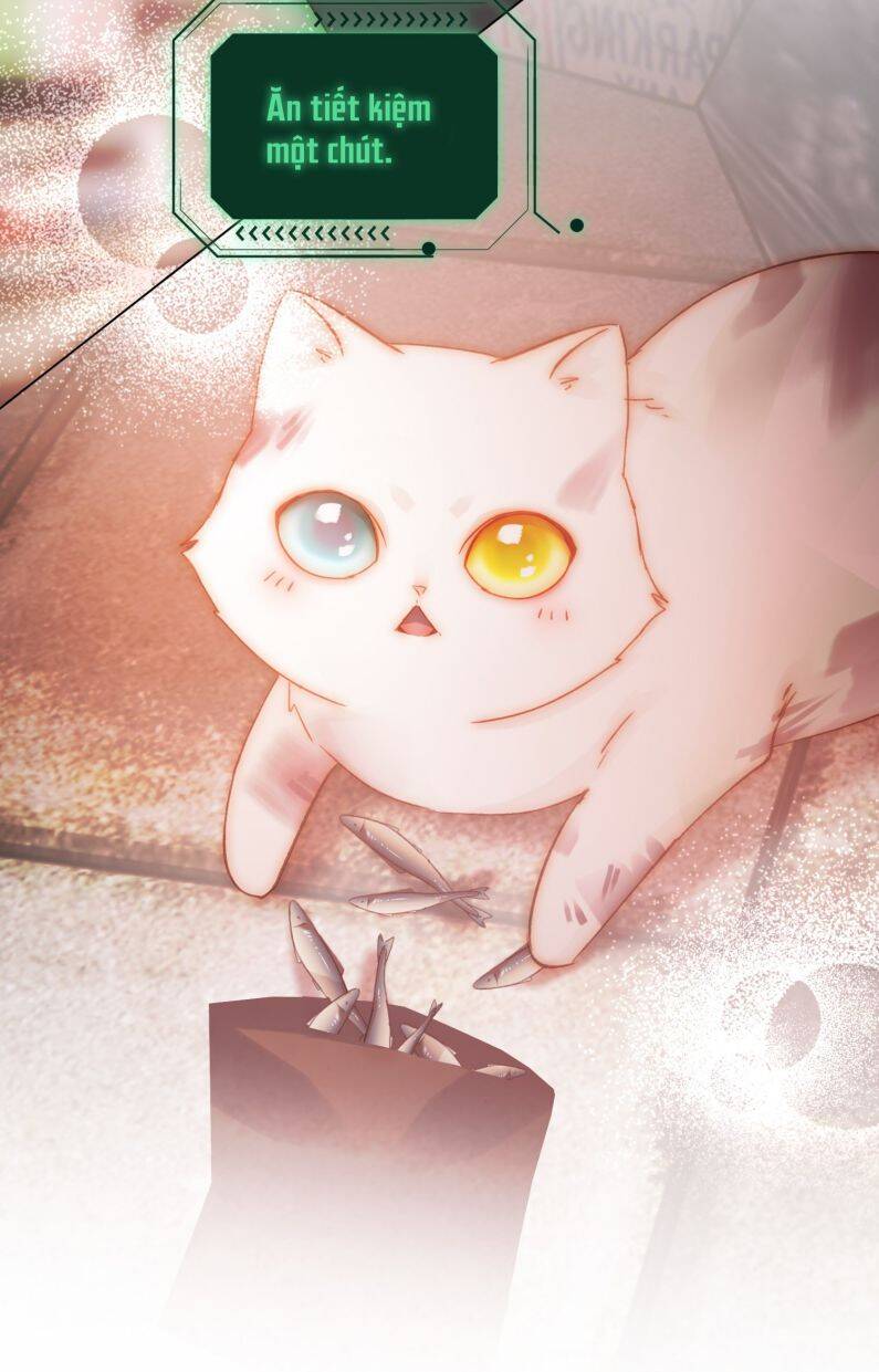 Tôi Phải Làm 1 Kẻ Đại Xấu Xa: Chapter 65