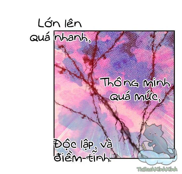 Những Kẻ Mạnh Nhất Thế Giới Đều Bám Lấy Tôi: Chapter 10.5