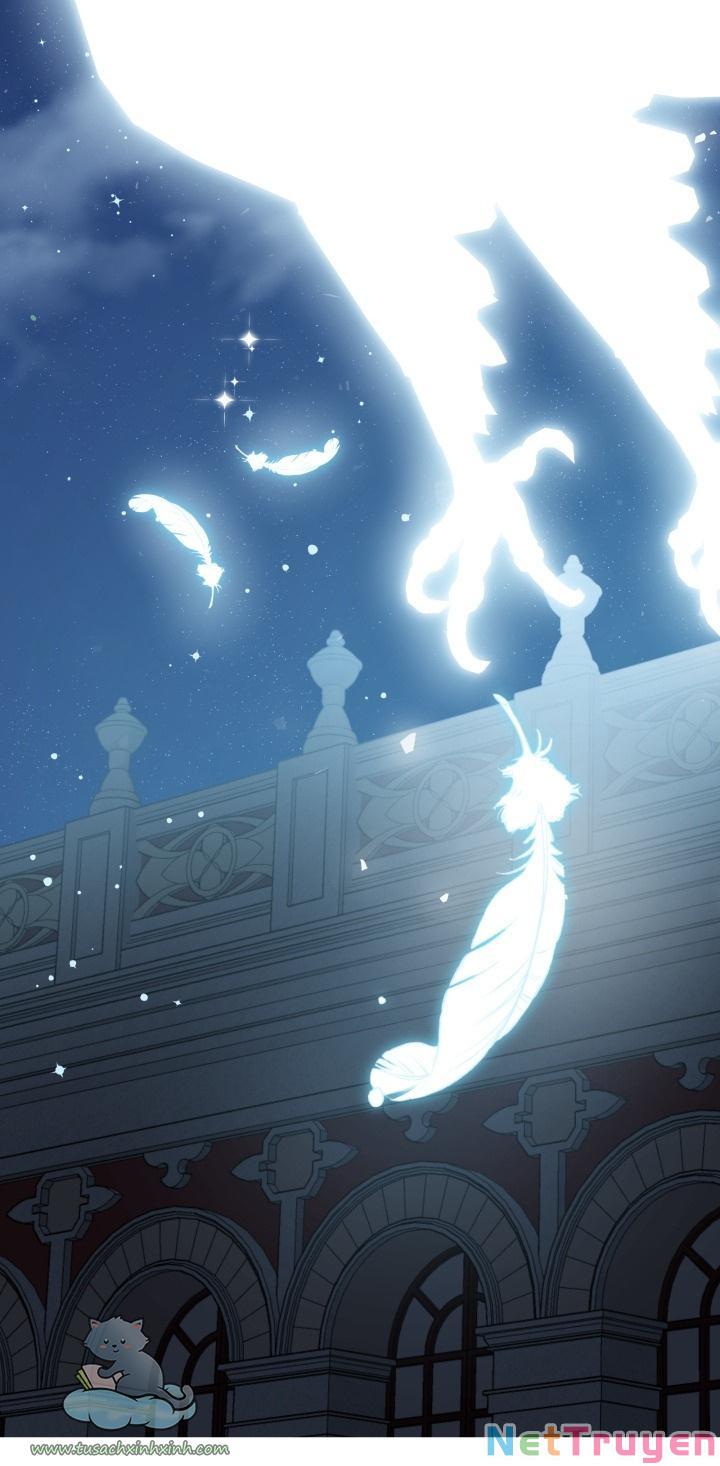 Những Kẻ Mạnh Nhất Thế Giới Đều Bám Lấy Tôi: Chapter 43