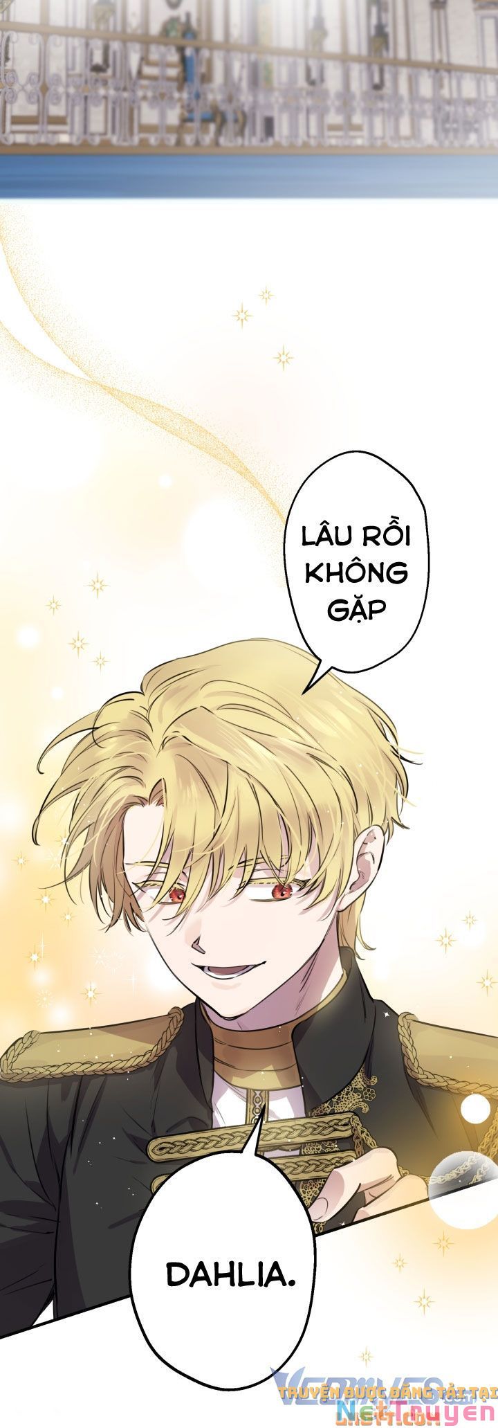Những Kẻ Mạnh Nhất Thế Giới Đều Bám Lấy Tôi: Chapter 48