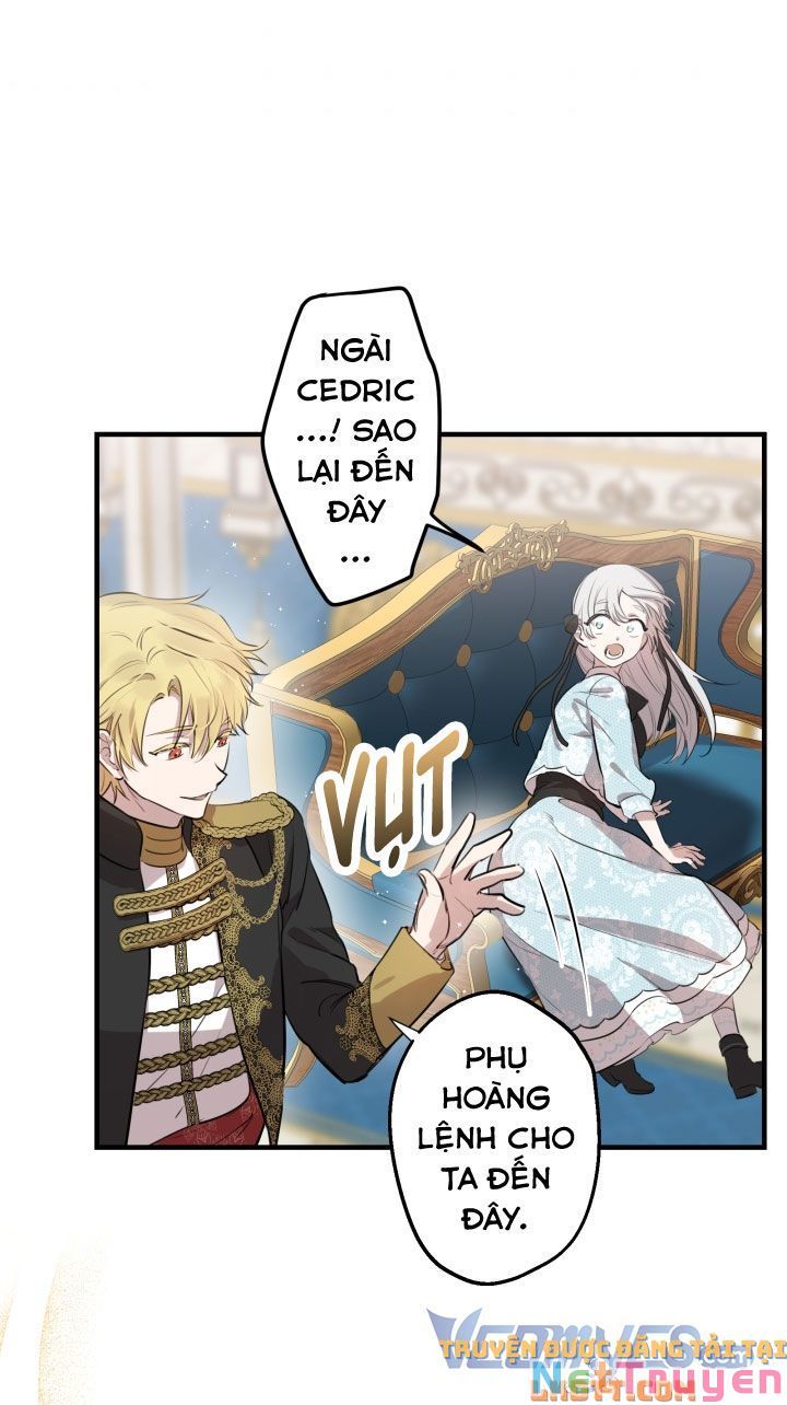 Những Kẻ Mạnh Nhất Thế Giới Đều Bám Lấy Tôi: Chapter 48