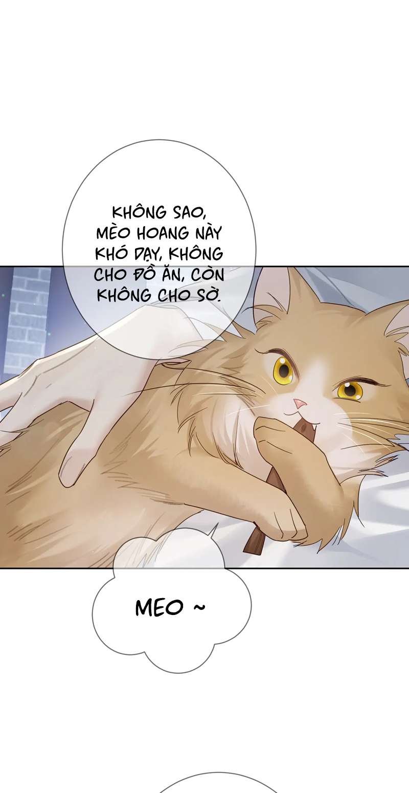 Nhân Vật Chính Chỉ Muốn Yêu Đương: Chapter 63