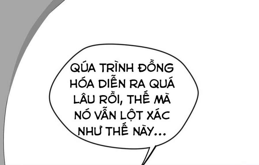 Ánh Sáng Cuối Con Đường: Chương 123