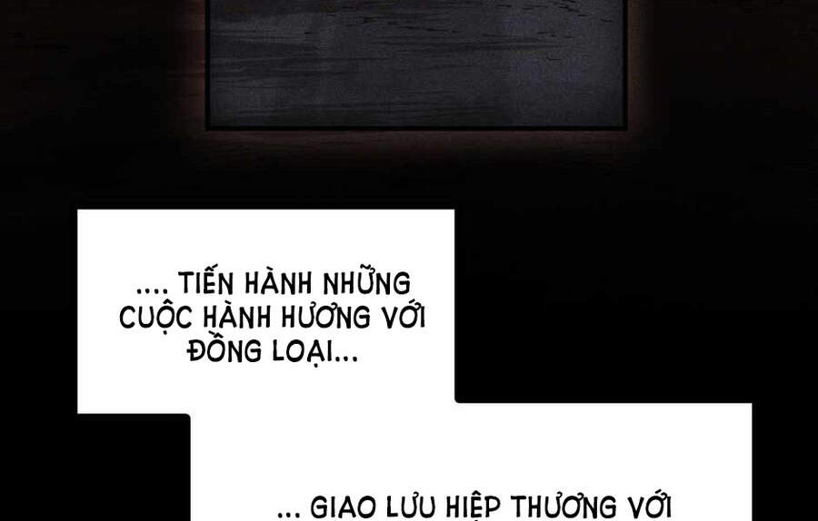 Ánh Sáng Cuối Con Đường: Chương 124
